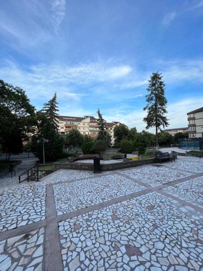 Apartament Centru Râmnicu Vâlcea Екстериор снимка